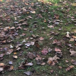 Meet your Posher, Jan